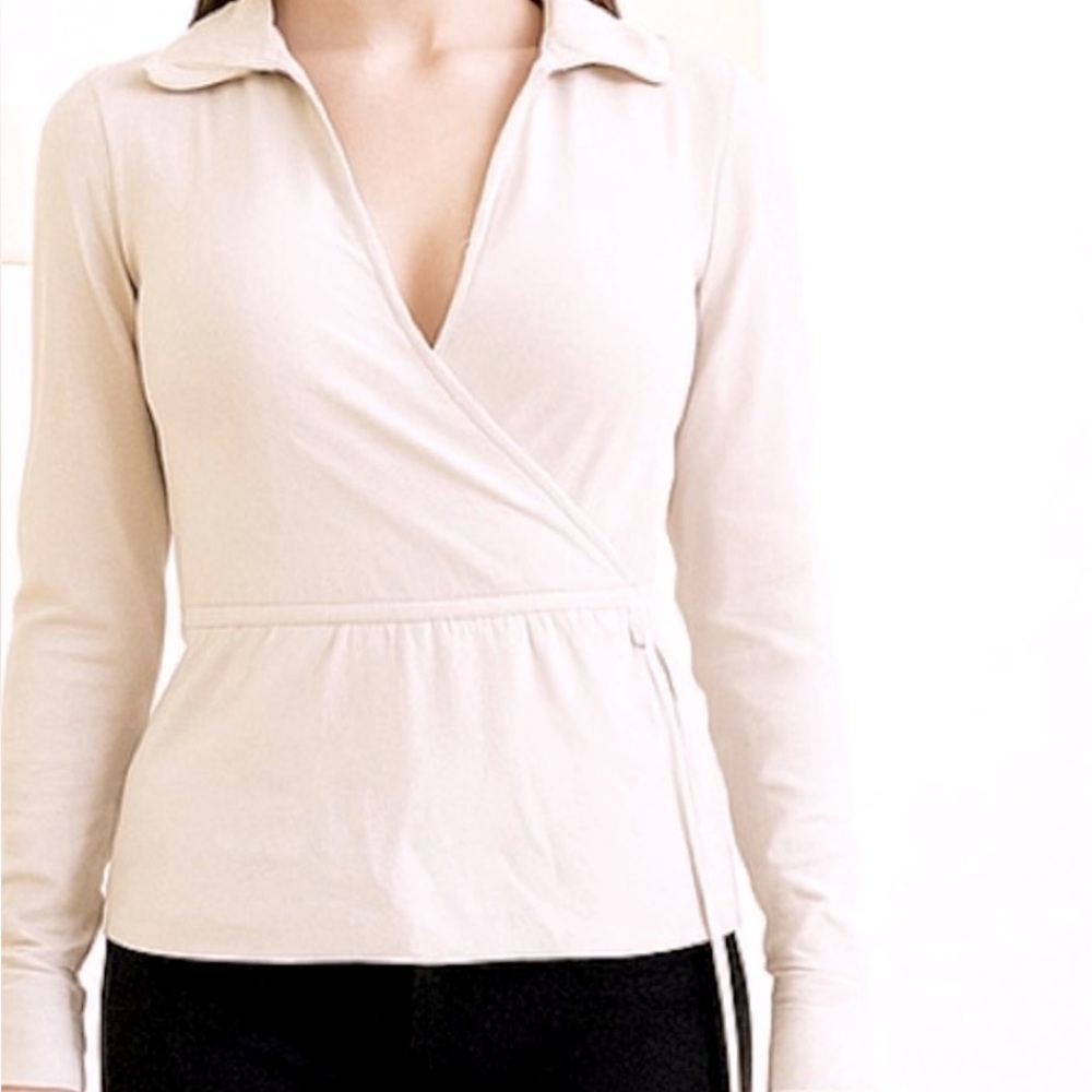 Babaton aritzia blouse